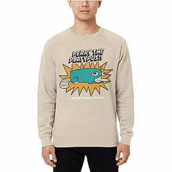 Classic TV Animation Graphic NTAN1401 Phineas And Ferb Hoodies
