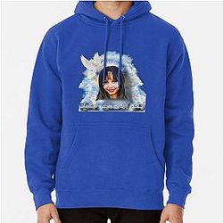 pinkpantheress meme Pullover Hoodie