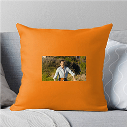 Platonic The World Is A Reunion Platonic Pillows Cover