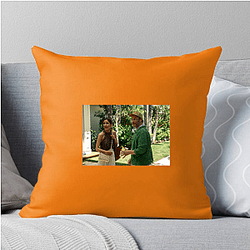 Platonic A True Masterpiece Platonic Pillows Cover