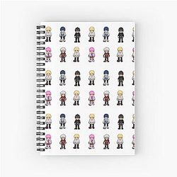Picked up a spiral notebook