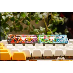 Custom Pokemon Spacebar Artisan Keycap -  BR1902