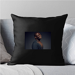 Poo Flow Poo Bear Pillows Cover