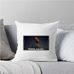 Poo Drop Poo Bear Pillows Cover