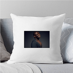 Poo Flow Poo Bear Pillows Cover
