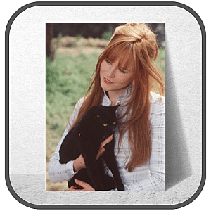 Practical Magic Posters