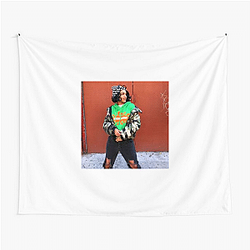Princess Nokia's hit song is Tomboy Princess Nokia Tapestries