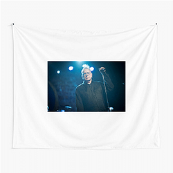 PIL Anti-Ordinary Public Image Limited Tapestries