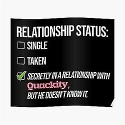 Quackity Posters - Relationship with Quackity Poster RB2905