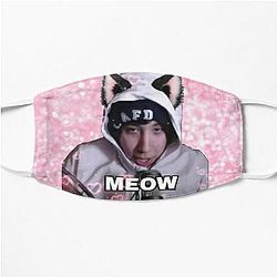 Quackity Face Masks - Quackity catboy meow Flat Mask RB2905