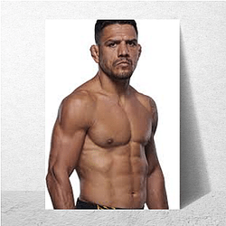 Fight Finisher Rafael Dos Anjos Posters