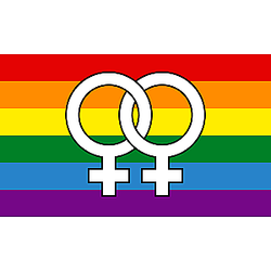 Pride Homosexual Rainbow Flag - Large2 PN0112