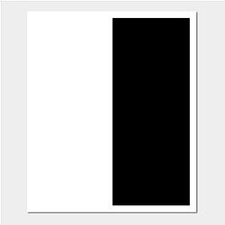 Ranboo Posters - Ranboo BW  Poster 