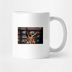 Wrestling Base Rashad Evans Mugs