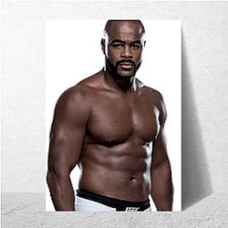 Knockout Power Rashad Evans Posters