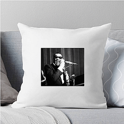 Ray Charles was a member of the Rock and Roll Hall of Fame Ray Charles Pillows Cover