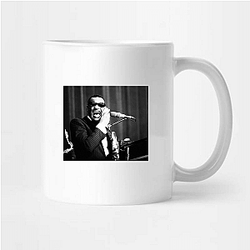 Ray Charles was a member of the Rock and Roll Hall of Fame Ray Charles Mugs