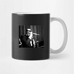 Ray Charles was a member of the Rock and Roll Hall of Fame Ray Charles Mugs