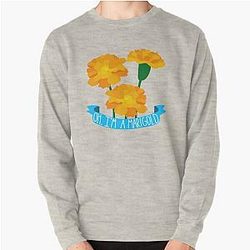 Relient K I'm A Marigold Air for Free Pullover Sweatshirt