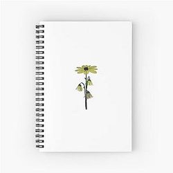 Relient K Spiral Notebook