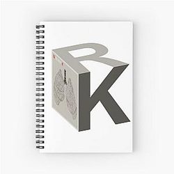 Relient K - Collapsible Lung - Cube Spiral Notebook