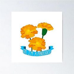 Relient K I'm A Marigold Air for Free Poster