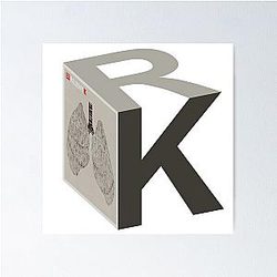Relient K - Collapsible Lung - Cube Poster