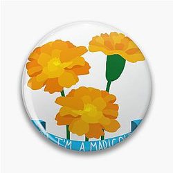Relient K I'm A Marigold Air for Free Pin