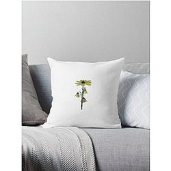 Relient K Throw Pillow