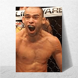 Striking Power Renan Barao Posters