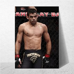 Fight Legacy Renan Barao Posters
