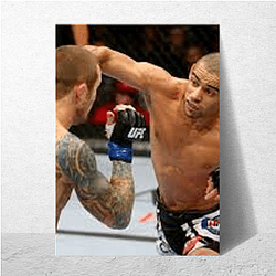 Submission Threat Renan Barao Posters