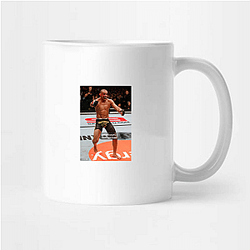 Octagon Warrior Renan Barao Mugs