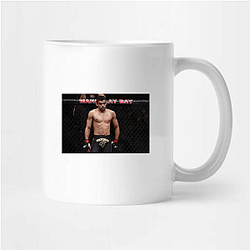 Fight Legacy Renan Barao Mugs