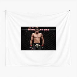 Fight Legacy Renan Barao Tapestries