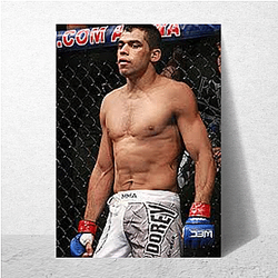 Brazilian Jiu-Jitsu Renan Barao Posters