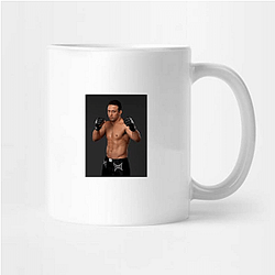 Gracie Warrior Renzo Gracie Mugs