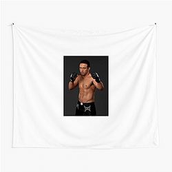 Gracie Warrior Renzo Gracie Tapestries
