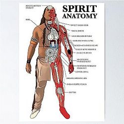 Reservation Dogs Anatomy Poster