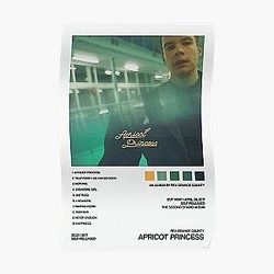 Rex Orange County Posters - Rex Orange County Album Cover Poster Poster RB2307