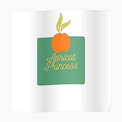 Rex Orange County Posters - Rex Orange County Apricot Princess Poster RB2307