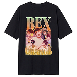 Retro Aesthetic LA 3004 Rex Orange County T-Shirts