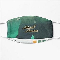 Rex Orange County Face Masks - Rex Orange County Album Cover Flat Mask RB2307