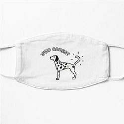 Rex Orange County Face Masks - Rex Orange County Who Cares 2022 Flat Mask RB2307