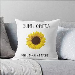 Rex Orange County Pillows - Sunflowers Still Grow at Night // Rex Orange County Throw Pillow RB2307