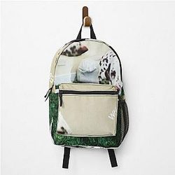 Rex Orange County Backpacks - Who Cares Rex Orange County poster Backpack RB2307
