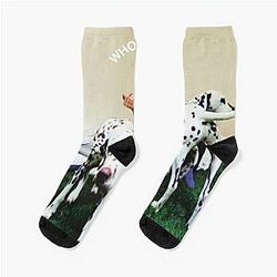 Rex Orange County Socks - Who Cares Rex Orange County Poster classic  Socks RB2307