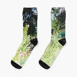 Rex Orange County Socks - Rex OC  Sunflower Album Cover Socks RB2307