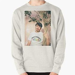 Rex Orange County Sweatshirts - Rex Orange County colore Pullover Sweatshirt RB2307