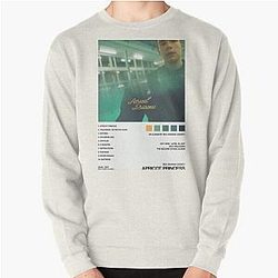 Rex Orange County Sweatshirts - Rex Orange County Album Cover Pullover Sweatshirt RB2307